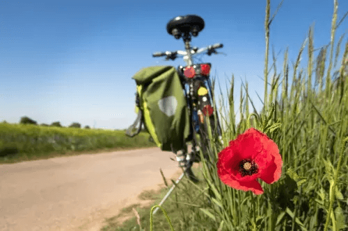 Surfcamp à vélo dans les Landes et le Pays Basque