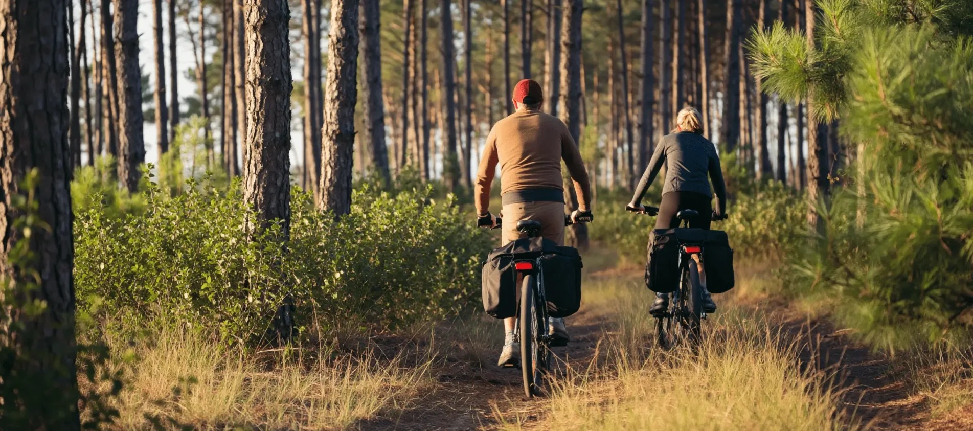 Plan your cycling trip in the Landes